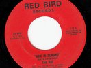 70s MOD NORTHERN SOUL 45 TED HALL MAN IN DEMAND RED BIRD 115 HEAR BOTH
