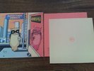 Super Furry Animals - Radiator - Double LP