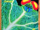 Catapilla -Changes Original Vertigo Swirl 6360074 D RARE