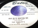 NM Doo Wop 45 The Fidelity's on Baton 252 Hold On To Wat'cha Got & THings I Love