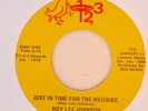 Roy Lee Johnson 70s Soul 45 on 123   Just In Time For the Wedding/Stormy Feeling
