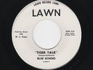 '64 R&R Gtr Instros BLUE ECHOES Tiger Talk/Blue Bell Bounce LAWN M- DJ HEAR BOTH