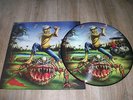 IRON MAIDEN NOUVEAU PICTURE THE EVIL IN FLORIDA