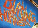 grove music LP:TOMMY McCOOK & BOBBY ELLIS-blazing horns (hear)