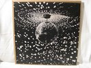 Neil Young - Mirror Ball : Hard Rock, Psych, Pearl Jam LP