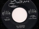 THE SHEIKS Ya-Habibi SULTAN Tittyshaker Exotica R&B LISTEN