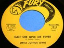 LITTLE JUNIOR LEWIS Can She Give Me Fever 45 Mod RnB/Soul Orig Fury NM Listen