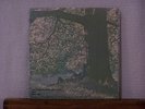 John Lennon/Plastic Ono Band Mother(Picture sleeve 45)Apple 1827