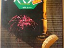 Minoru Muraoka Shakuhachi Rock Jazz Funk Bamboo Drum Breaks Listen