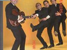GERRY AND THE PACEMAKERS how do you like it LP 14 trk mono pressing blue/black l