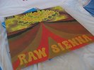 Savoy Brown Raw Sienna LP 1970 DECCA 1st Press BRILLIANT