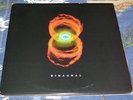 Pearl Jam Binaural 2000 LP Vinyl Record Eddie Vedder Out-of-Print EPIC E2 63665