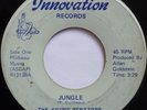 THE YOUNG SENATORS   JUNGLE   RARE DC FUNK 45 on INNOVATION   HEAR IT   RARE
