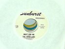 Monclairs 'Wait For Me' Sunburst WDJ.Northern Soul.