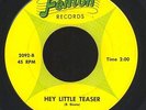 THE CHEVRONS 'Hey Little Teaser' Michigan 1966 Fenton Garage Rock 45 LISTEN