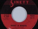 Deep Soul/Northern Soul Funk 45 TRUDY LYNN What A Waste SINETT HEAR