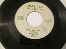 Joyce Taylor Mean Mis-treater r&b on Wal-ly  MP3