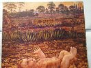 lp PAU RIBA DIOPTRIA 1969 RARE SPANISH PROG PSYCH 5.713-SUL CONCENTRIC ORIGINAL