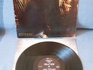 LP METAL PARADISE LOST GOTHIC PEACEVILLE VILE 26  SINGLE COVER 1991