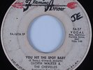 Funk 45 GLORIA WALKER & THE CHEVELLES You Hit the Spot Baby FLAMING ARROW HEAR