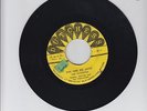 DUTCHESS/YOU ARE MY LOVE  -  THE FUGITIVES  ( 66  SKA 7