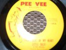 RARE GARAGE 45 RECORD LITTLE DUCK & THE DRAKES PEE VEE 139 NEAR MINT