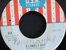 A LONELY BOY - LEE WILSON (USA) 60s Northern Soul 45