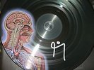 TOOL Signed Lateralus Vinyl LP Rare Autographed No Reserve