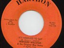Bernard Williams - It's Needles To Say - Harthon Original Curved Logo