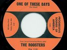 THE ROOSTERS- 