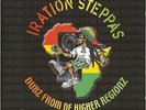 IRATION STEPPAS Dubz From De Higher Regionz DUBHEAD VINYL LP Dennis Rootical Dub
