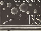 IBIS - Sun Supreme - POLYDOR 2448 022 L - 1974 - ITALY - Rare Prog Rock