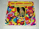 JIMI HENDRIX EXPERIENCE  33T  ORIGINAL  ARE YOU EXPERIENCED ?