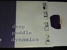 DEEP PUDDLE DYNAMICS : DEEP PUDDLE DYNAMICS - DOUBLE LP
