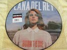 LANA DEL REY BORN TO DIE 12