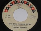 R&B POPCORN , DIMPLES JACKSON on GARDEN RECORDS 114 . 