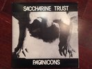 SACCHARINE TRUST Pagan Icons LP SST Records Black Flag The Stains KBD Punk LA
