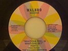 Wallace Brothers What-Cha Feel Is What-Cha Get Walbro RARE FUNK 45