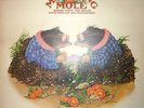 MATCHING MOLE   CBS S 64850  STEREO  ENGLAND