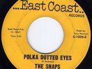 HEAR Snaps-Polka Dotted Eyes '66 PA snotty punk gem b/w cool protest folk punk