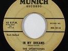 Doo Wop 45 SPORTTONES In My Dreams/So Sincere on Munich