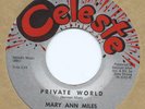 NORTHERN SOUL R&B   MARY ANN MILES   