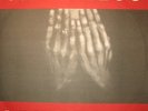 Faithless Reverence Vinyl Doppel-LP