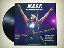 WASP 12