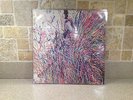 The Flaming Lips Stone Roses LP Black Friday