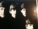 The Beatles - With The Beatles - Mono - Vinyl LP