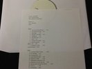 DEAD KENNEDYS BEDTIME FOR DEMOCRACY  RARE VINYL TEST PRESSING