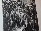 Graveland ?– Carpathian Wolves lp No Colours 1st press 94 ltd 500 Burzum Mayhem