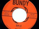 Ray Artis RARE Teen Doo Wop 45 rpm Record BUNDY 222 Dear Liz Wella Wella LISTEN