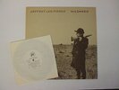 JEFFREY LEE PIERCE WILDWEED RARE INDIE LP WITH 7